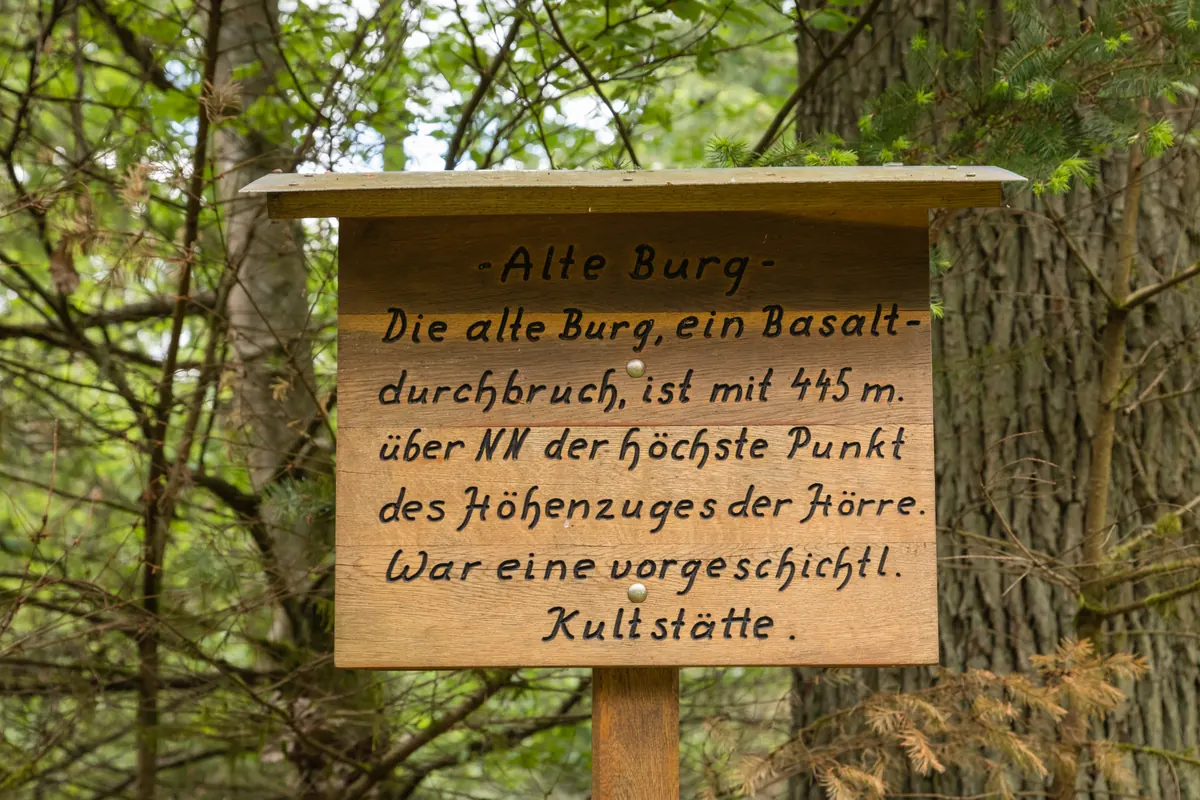 Ein Waldweg an der Alte Burg bei Ballersbach