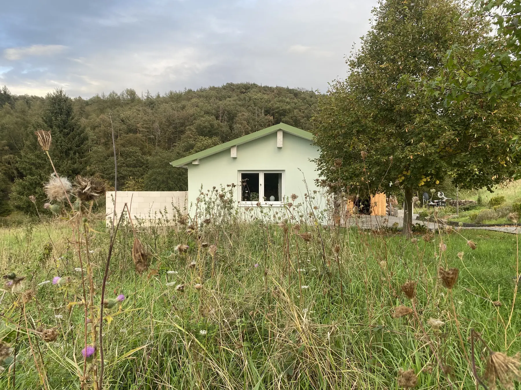 Das Ferienhaus in der naturbelassenen Wiese mit Wildpflanzen und bewaldetem Hang dahinter